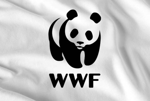 wwf